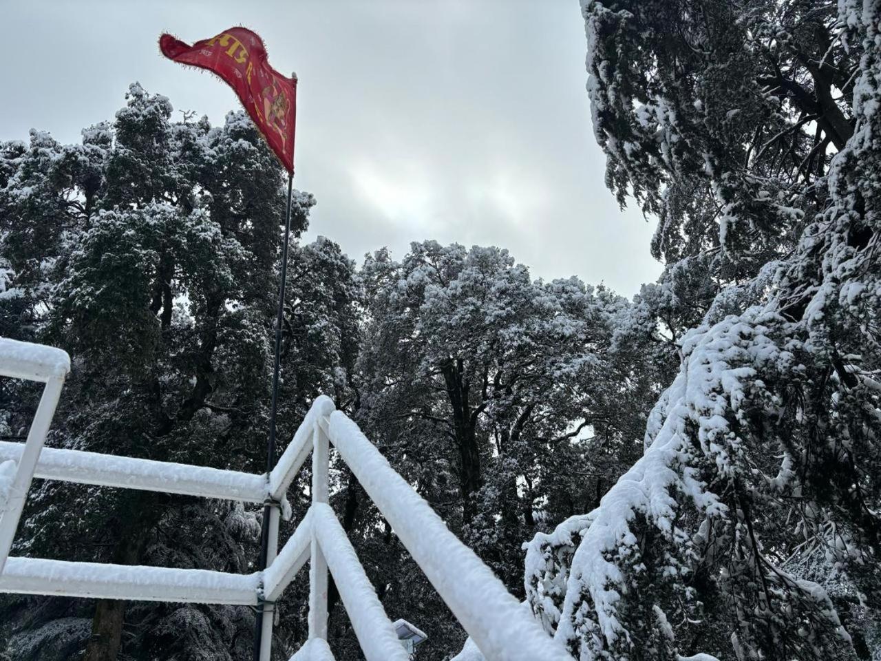 שימלה Hotel Jakhu Heights מראה חיצוני תמונה
